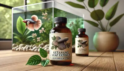 Cara Penggunaan Ekstrak Daun Ketapang Untuk Ikan Cupang